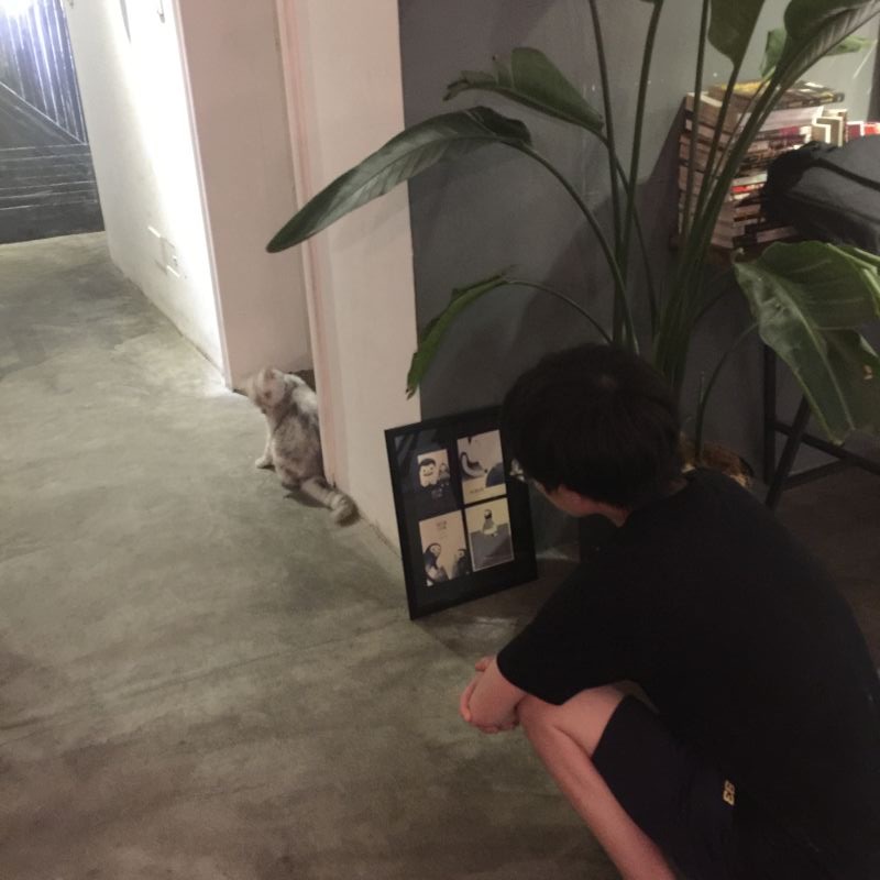 不日远游