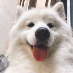 尽前