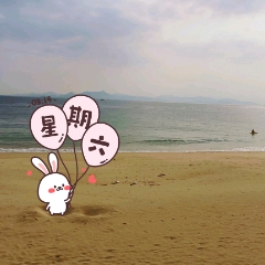 无处安放