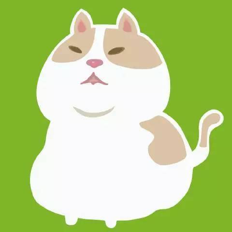  李大猫
