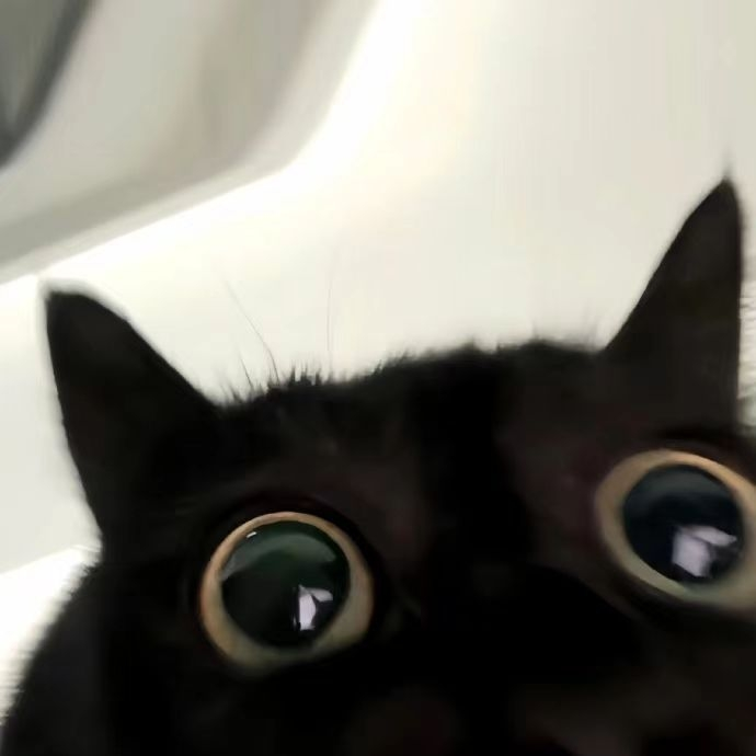 午歌