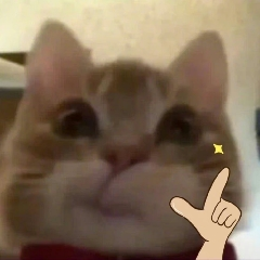 爱造的杰瑞