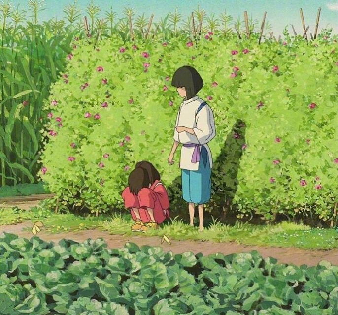 去冰不加糖