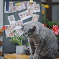 高原
