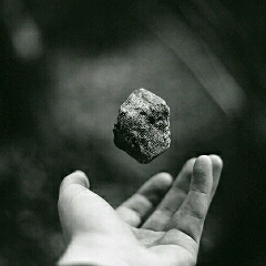 七楼的霍尔顿