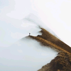 石榴死在冰箱第二层