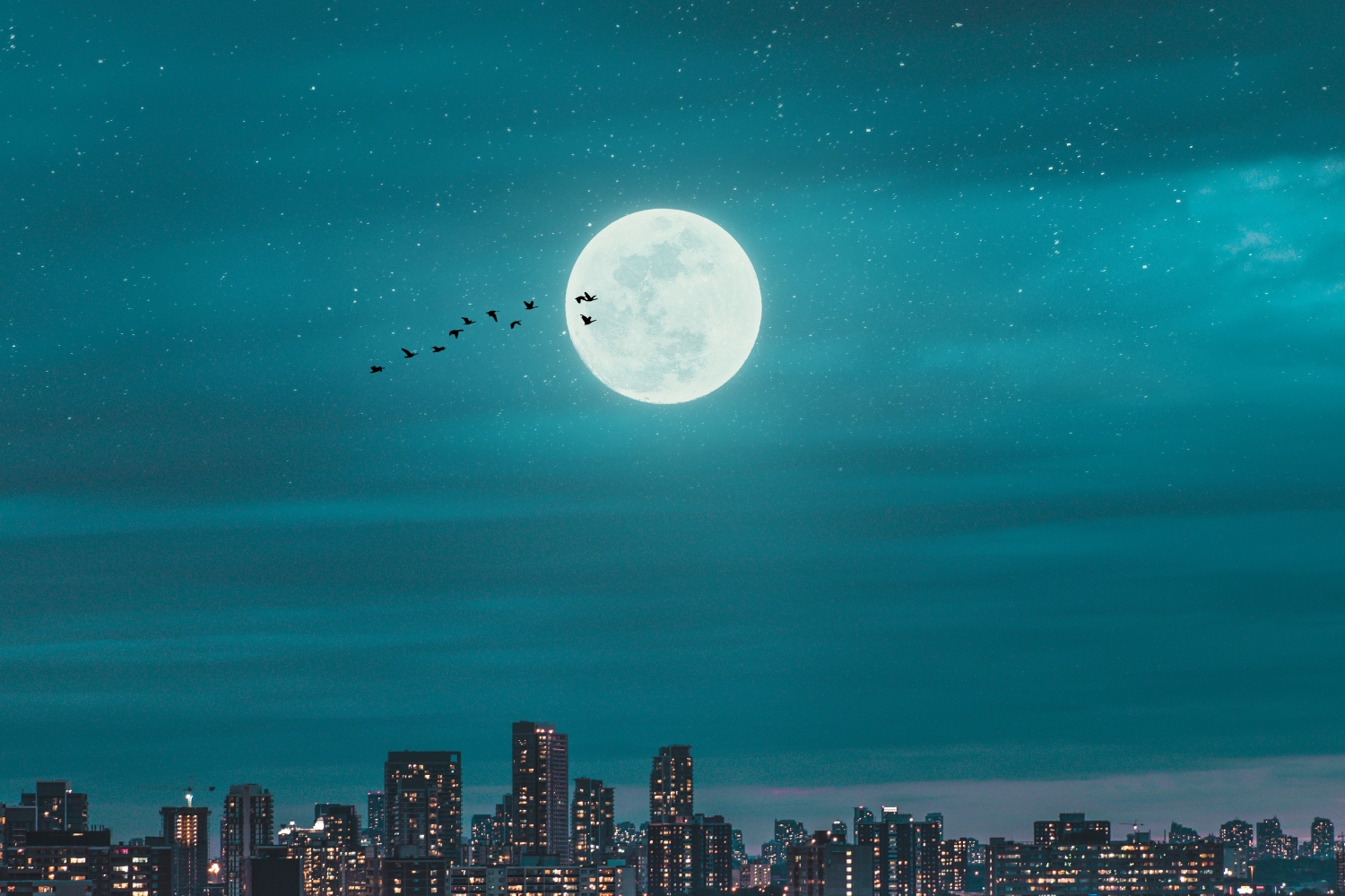 vol-3626-one