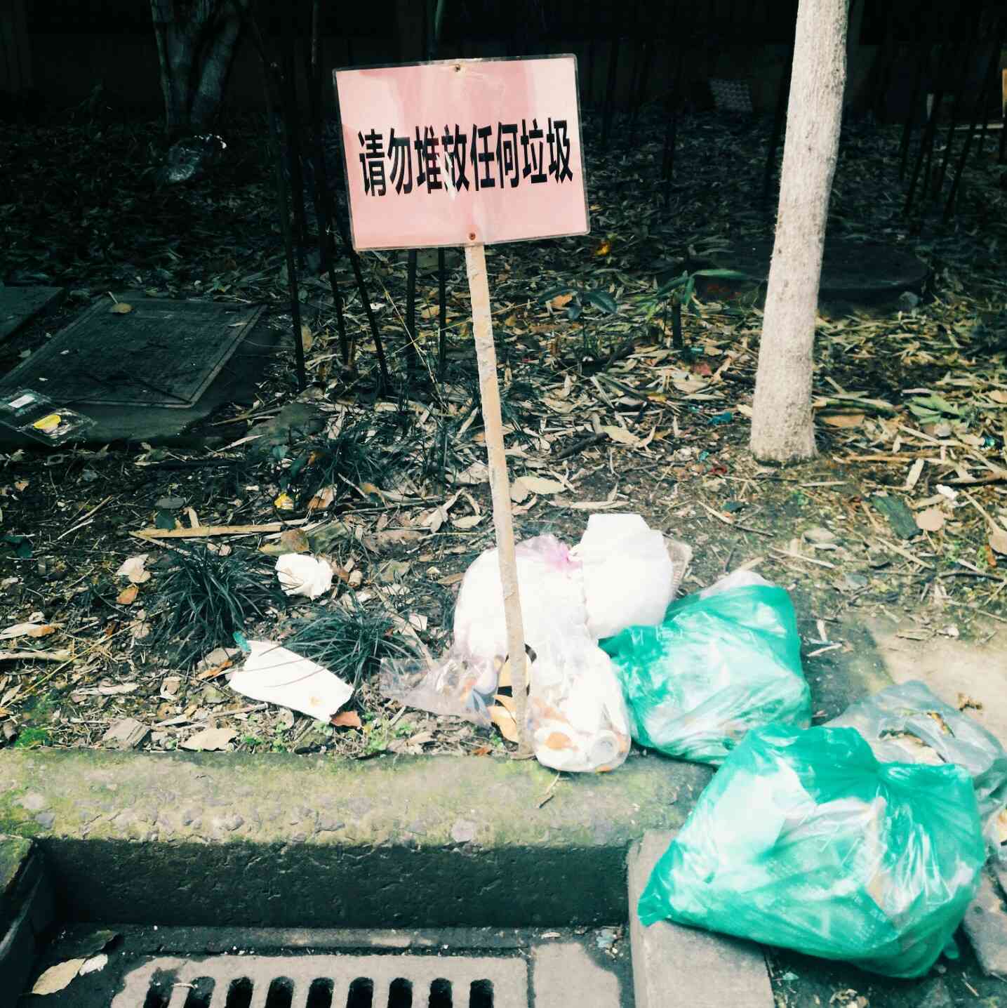 钱磊