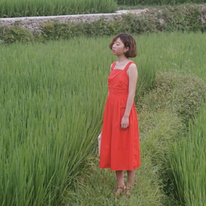 吐水怪