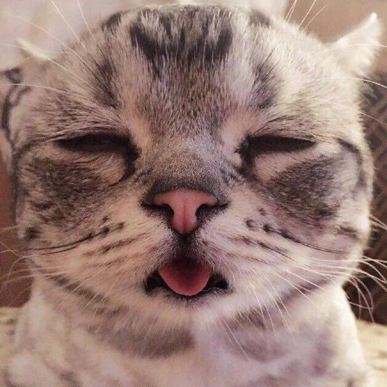 久晨